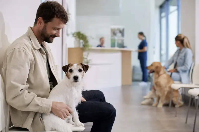 Parson Russell Terrier sitzt ruhig neben seinem Besitzer im hellen Wartezimmer einer modernen Tierarztpraxis.